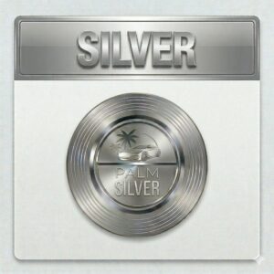SILVER VIP